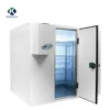 Freezing Chamber Froide Freezer, R134a - view 2