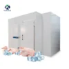 Freezing Chamber Froide Freezer, R134a - view 6