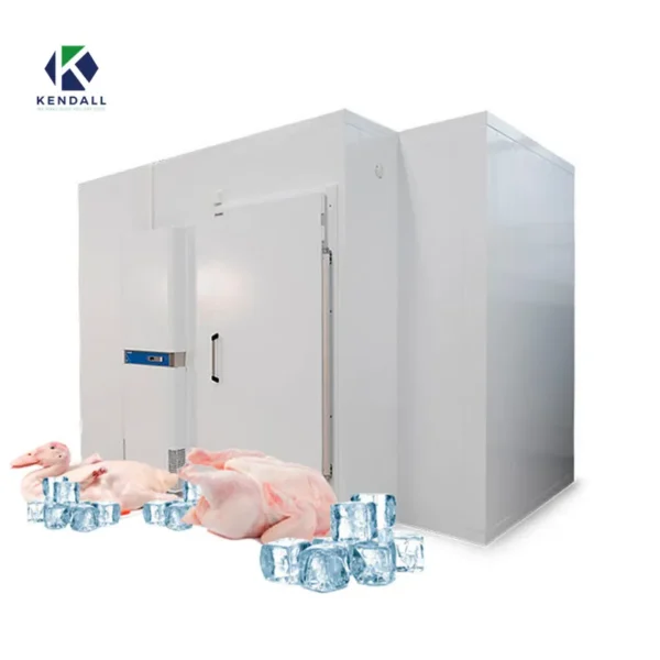 Freezing Chamber Froide Freezer, R134a - view 6