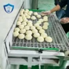 Freezing Equipment, 110v-380v, Stainless Steel 304 - view 2