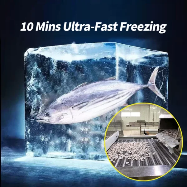 Freezing Equipment, 110v-380v, Stainless Steel 304 - view 5