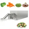 Fruit Quick-freezing Tunnel Freezer, IQF, 380 V, 5.6 - view 2