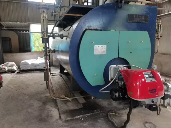 Gas Burner for Boiler, WANYI, RS5 - view 5