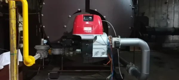 Gas Burner for Boiler, WANYI, RS5 - view 6