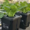 Growing Systems Water Chiller, RDWC, Food Grade PP - view 3