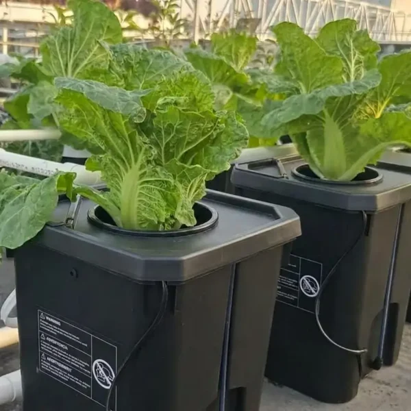 Growing Systems Water Chiller, RDWC, Food Grade PP - view 3