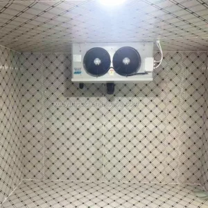 High-efficiency Industrial Air Cooler, Electric