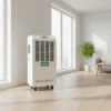 High-efficiency Low Temperature Dehumidifier, 220 V, Electric