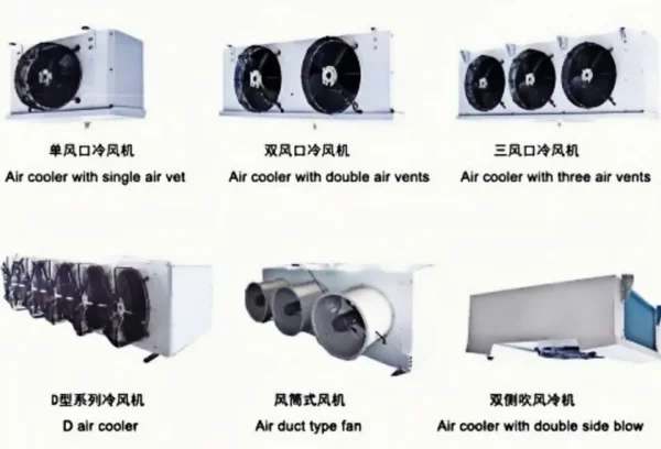 High Performance Electric Motor, 380 V - view 6