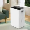 High Power Household Dehumidifier, 20L/D, 5.5L, R290