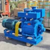 High Vacuum Speed Pump, Electric, 2BE - view 2
