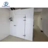 Hinged Door with Heater, 220, R134a