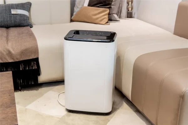 Home Hvac Systems, 20L/day, Electric - view 2