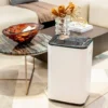 Home Hvac Systems, 20L/day, Electric - view 3