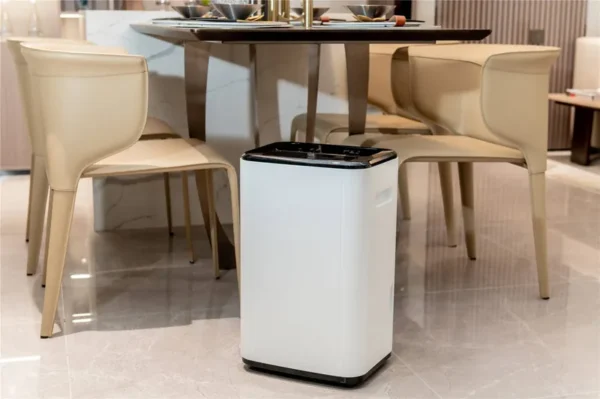 Home Hvac Systems, 20L/day, Electric - view 4