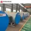 Hot Water Boiler, stainless steel, Natural Circulation - view 3