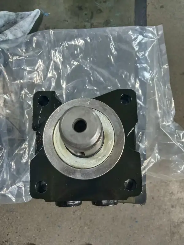Hydraulic Orbit Motor, OMER, BMER, 125, 160 - view 2