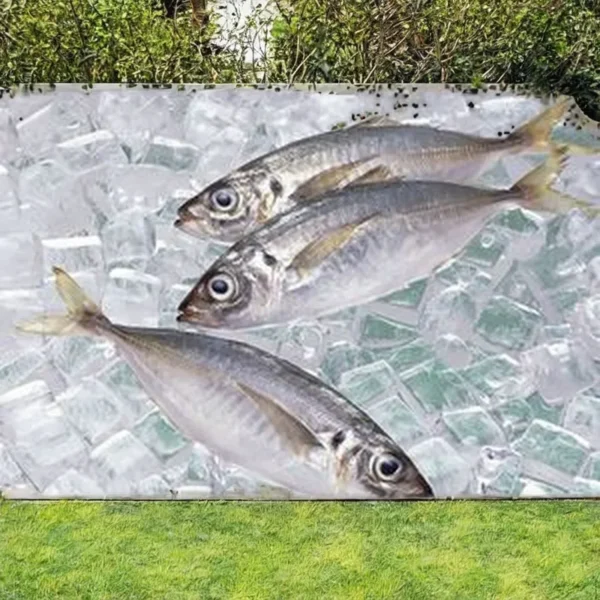Ice Machine, 5-ton, 380 - view 4