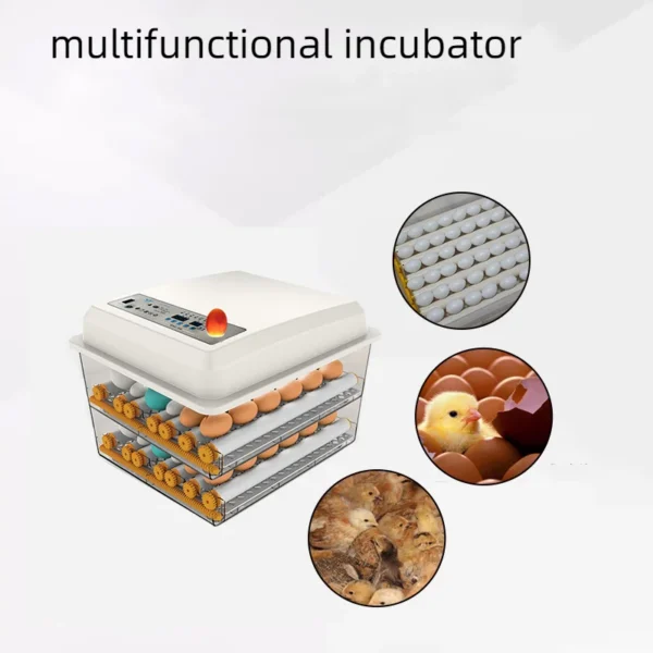 Incubator Fully Automatic Motor, 110/220V, 110 220 - view 6