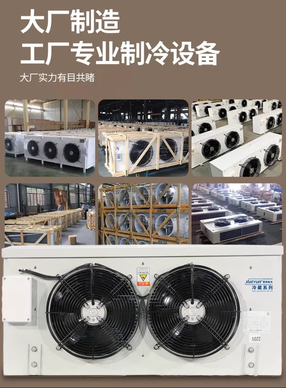 Industrial Blast Chiller, 220V, Electric - view 6