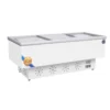 Industrial-grade Horizontal Freezer, Electric, R404a