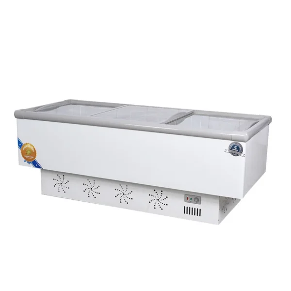 Industrial-grade Horizontal Freezer, Electric, R404a - view 2