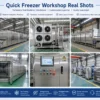 Iqf Fluidized Bed Freezer, 300kg/h, 220 V, 94000 - view 6