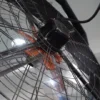 Large Fan, 3.94ft, 0.55kw, PMSM - view 6