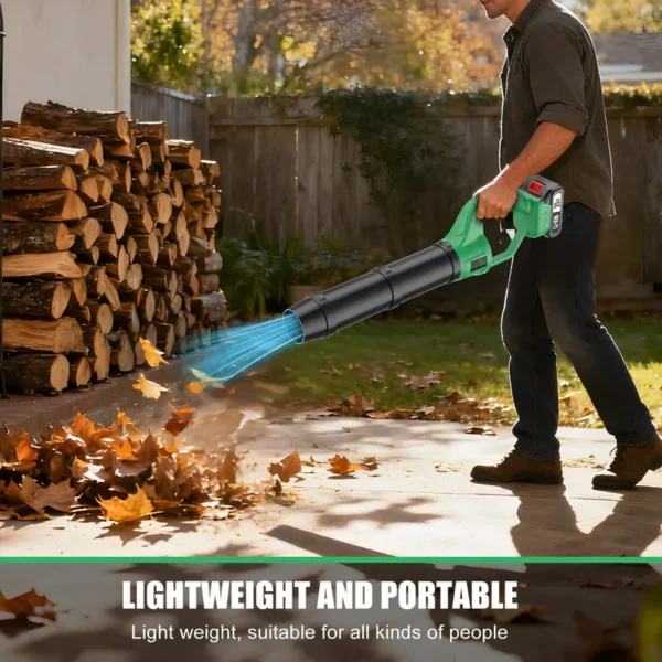 Leaf Blower, 20V, Cordless, DIY - view 5