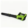 Leaf Blower, 21V, Battery