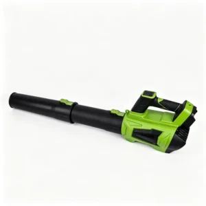 Leaf Blower, 21V, Battery