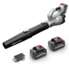 Leaf Blower, DTWA6-0008, Cordless