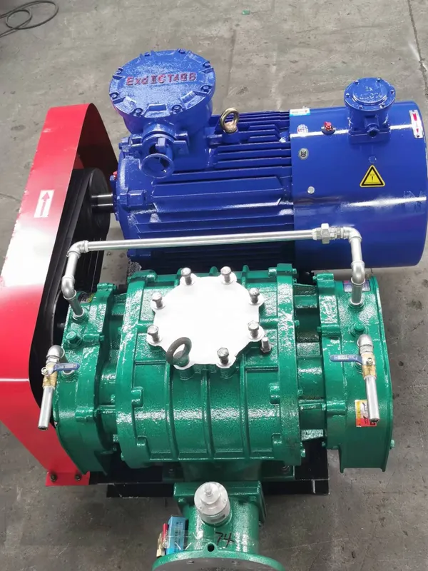 Lobe Roots Air Blower, STP, WWPT, 5hp - view 6