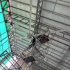 Low Power Ventilation Fan, 7.3m, 220v - view 5