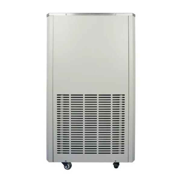 Low Temperature Recirculating Chiller, 10L, DLSB-10/30 - view 3