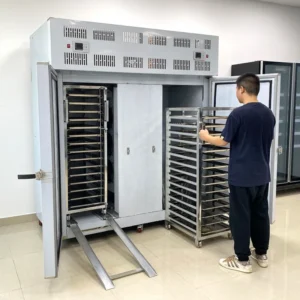 Meat Bread Blast Chiller, 45C, 80C