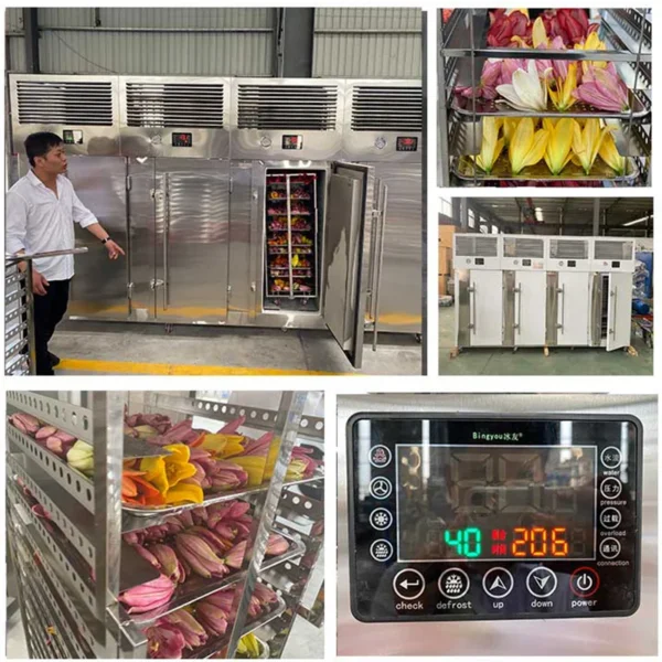 Micro Crystal Blast Chiller, 220 V, 100kg - view 5
