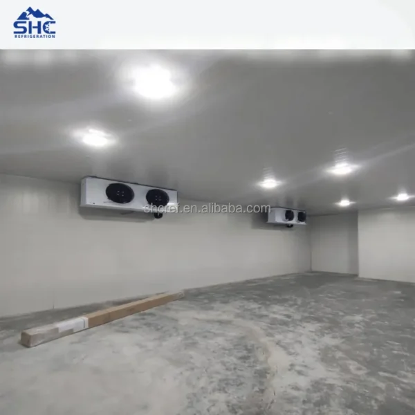 Monoblock Unit, Wall, 230 V, 5kw~10kw - view 5