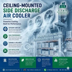 Mounted Air Cooling Evaporator, Ceiling, 220 V, Electric
