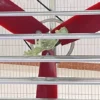 Nylon Blade Industrial Extractor, Wall, Centrifugal - view 5