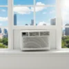 One Window Air Conditioner, 5000, BTU