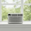 One Window Air Conditioner, 5000, BTU - view 4