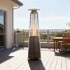 Patio Heater, 13000W, APP, LPG - view 3