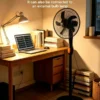 Pedestal Fan, 18", Solar, 12V, 20Ah - view 4