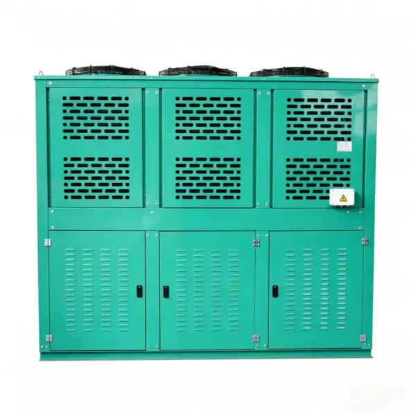 Piston Compressor, R404A, 220 V, 2*240-4*450w - view 3