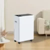 Portable Electric Compressor, 10-12L/D