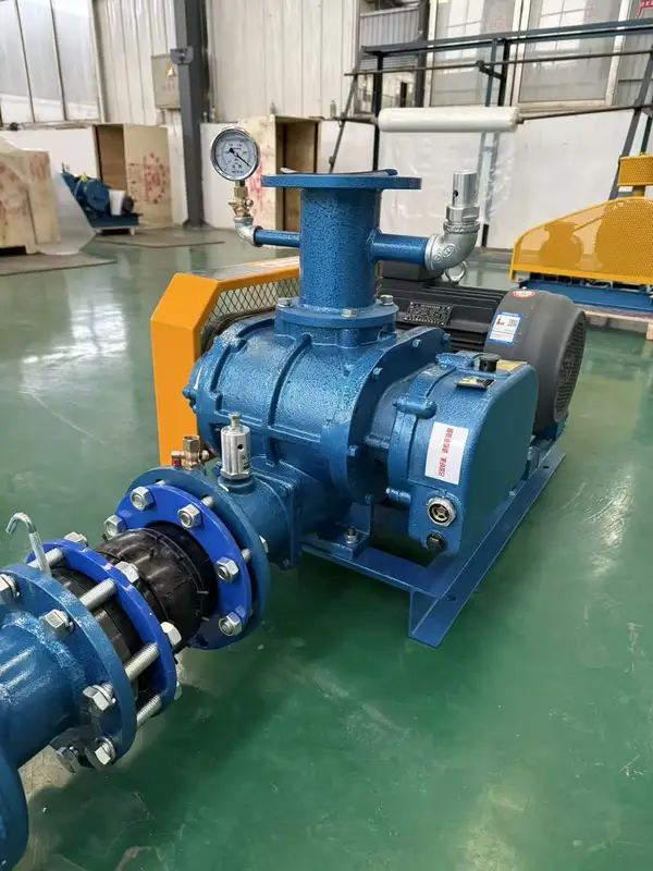 Pressure Roots Vacuum Pump, Electric - view 6