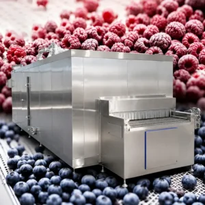 Quick Freezing Small Freezer, Stainless, Steel
