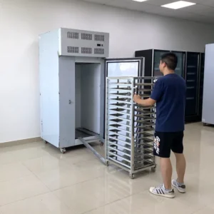 Freezing Equipment