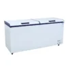 Refrigeration Deep Shock Freezer, 1-2, 110V-240V